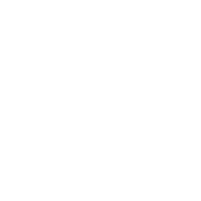 Participación Exitosa RSA 2025